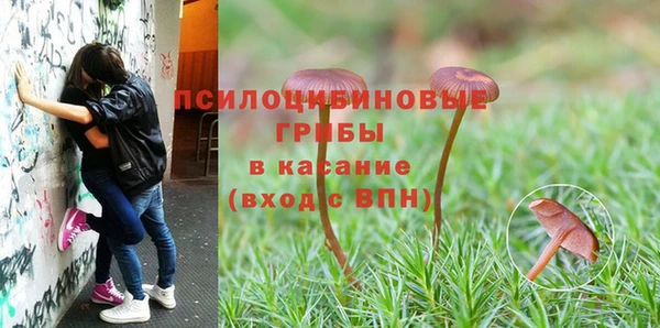 трава Абаза