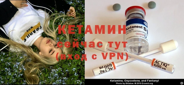 трава Абаза