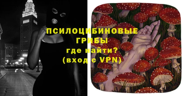 PSILOCYBIN Абинск
