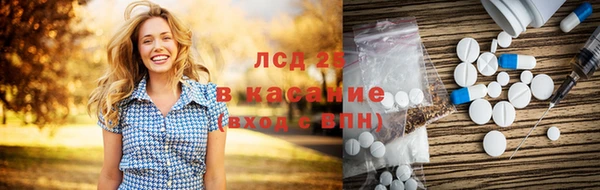 трава Абаза