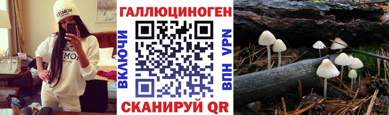 Галлюциногенные грибы GOLDEN TEACHER гидра онион Бирюсинск