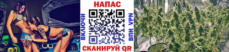 Каннабис сатива магазин Бирюсинск